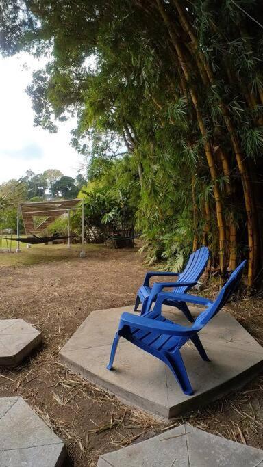 Dome In The Heart Of Boquete. Apartment Exterior photo